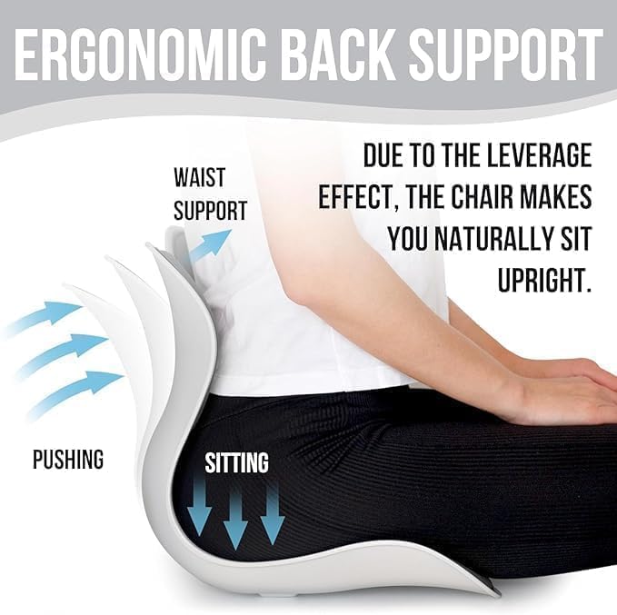 Back Support Chair - كرسي دعم الظهر