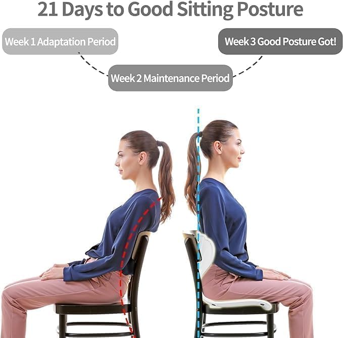 Back Support Chair - كرسي دعم الظهر