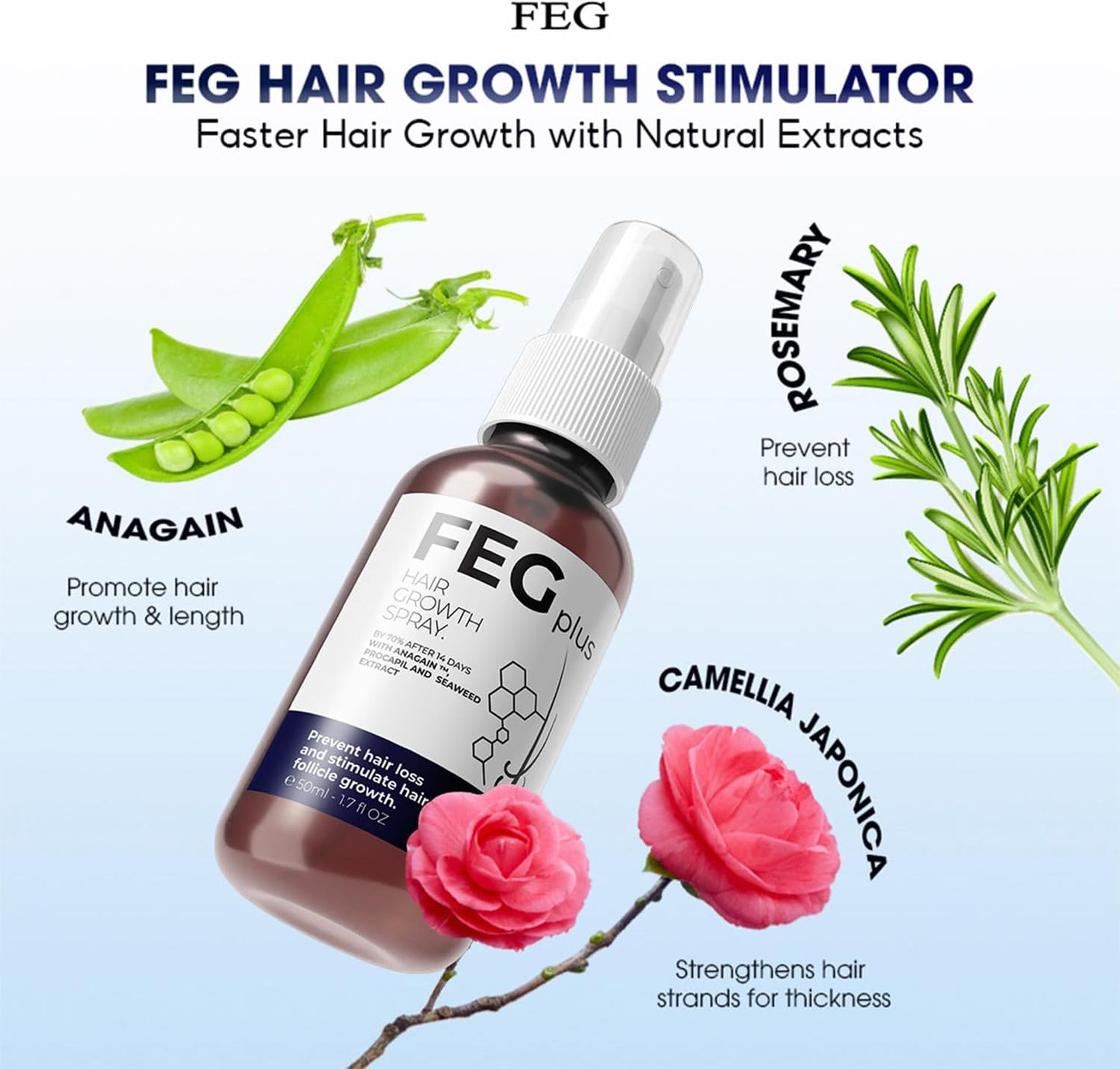 FEG – فيج