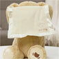 Peek-A-Boo Teddy Bear - لعبة الدب الغميضة