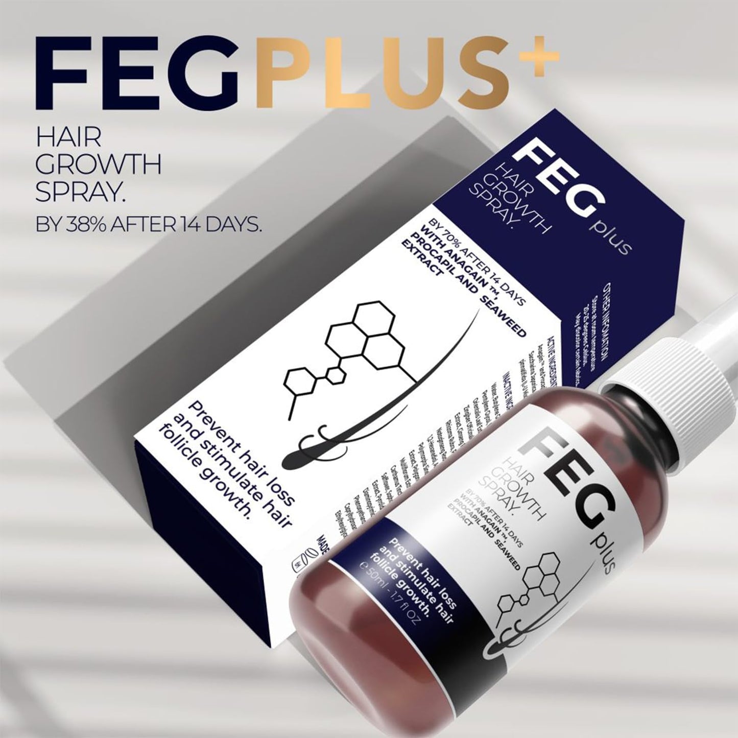 FEG – فيج