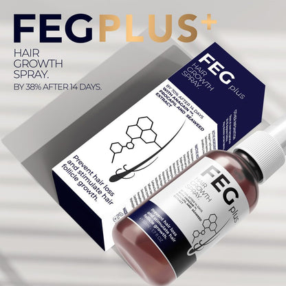 FEG – فيج