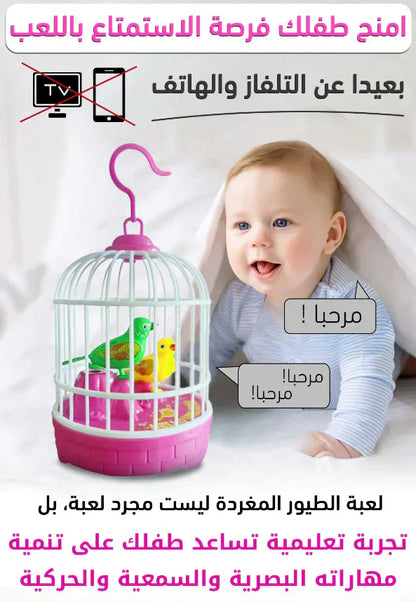 Singing Bird's Cage (Battery Operated) – قفص الطائر المغني (يعمل بالبطارية)